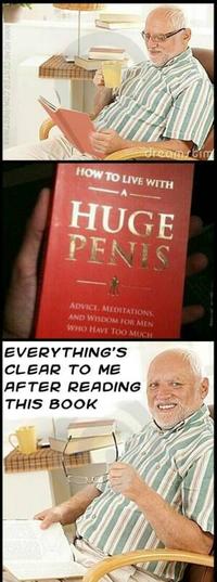 Hide The Pain Harold