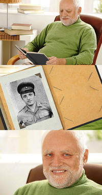 Hide The Pain Harold