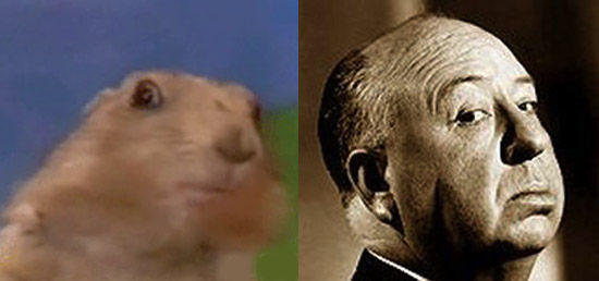Dramatic Chipmunk / Drama Prairie Dog