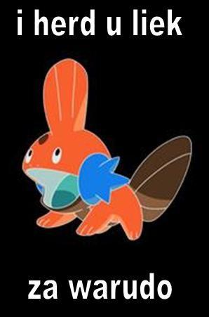 Mudkip1_za_warudo.jpg