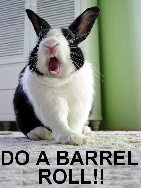 do-a-barrel-roll-rabbit.jpg