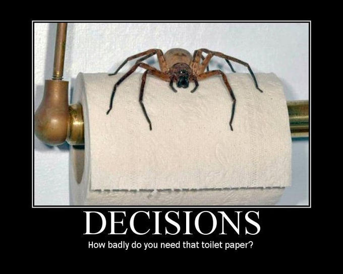 toiletpaper.jpg