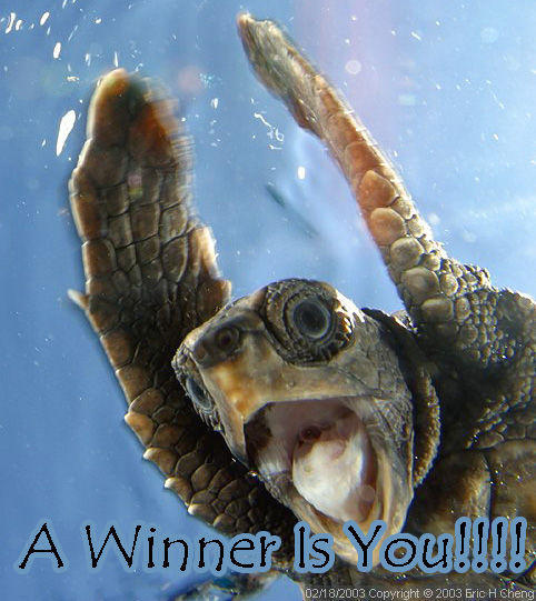 a_winner_is_you.jpg