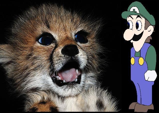 weegee.jpeg