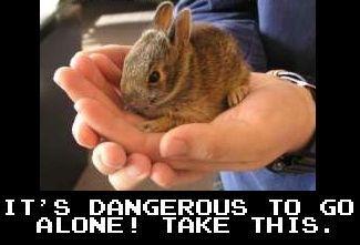 It's Dangerous to Go Alone! Take This