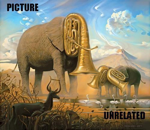 pic_unrelated.jpg