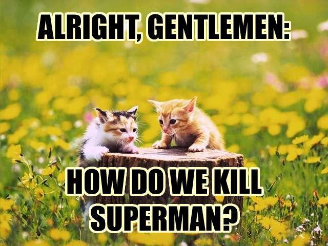 LOLcats
