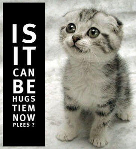 LOLcats