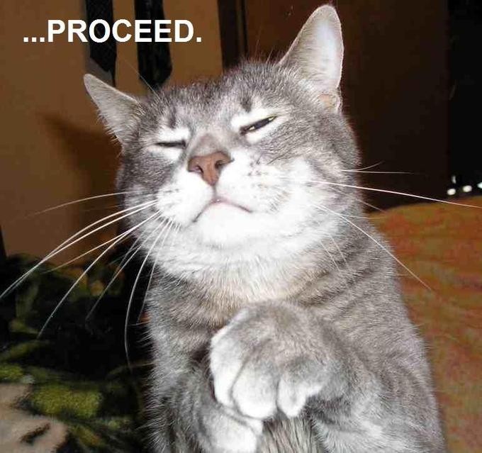 cat-proceed.jpg
