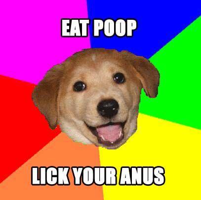poopdog.jpg
