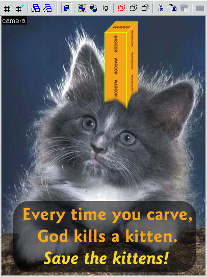 Every time you masturbate...God kills a kitten