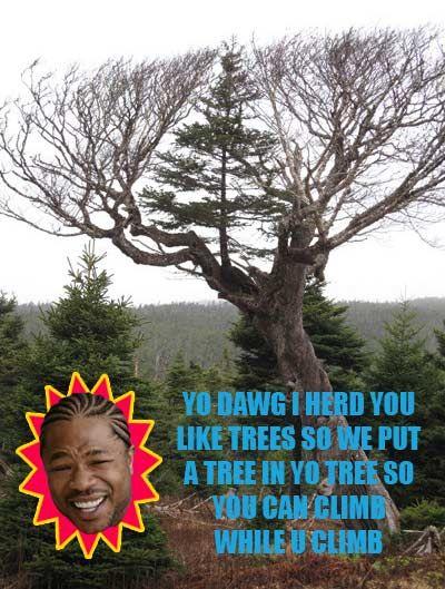 YO-DAWG.jpg