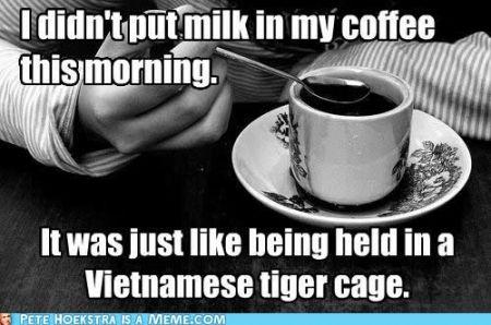 vietnamese-tiger-cage.jpg