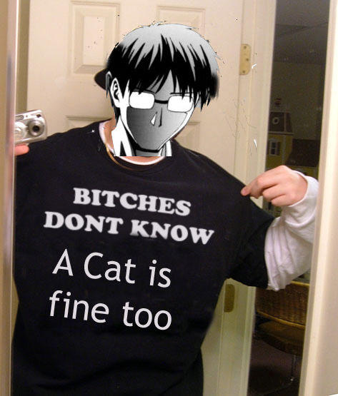 Bdk_a_cat_is_fine_too.jpg