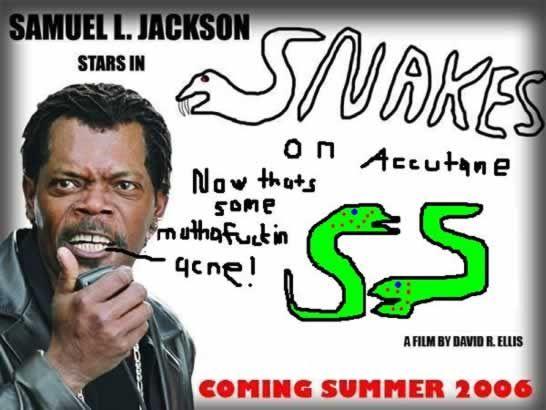 Snakes on a Plane