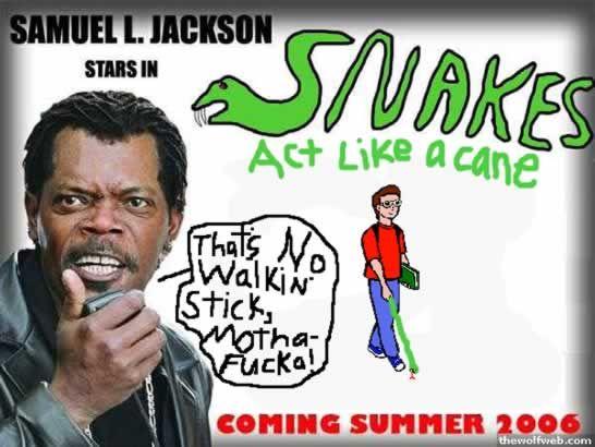 Snakes on a Plane