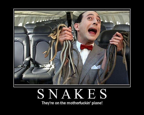 Snakes on a Plane