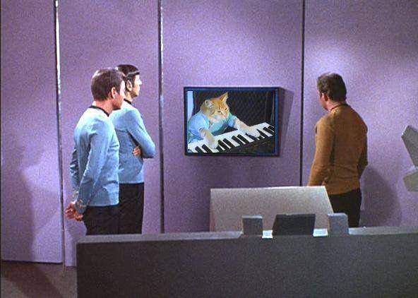 Keyboard Cat