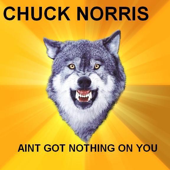 cwolf6.JPG