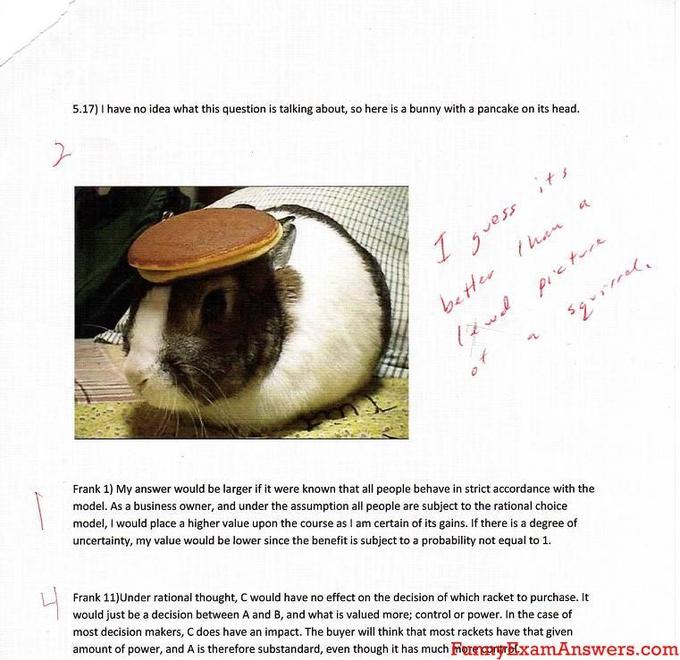 Pancake Bunny