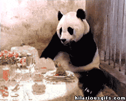 sneezing-panda.gif