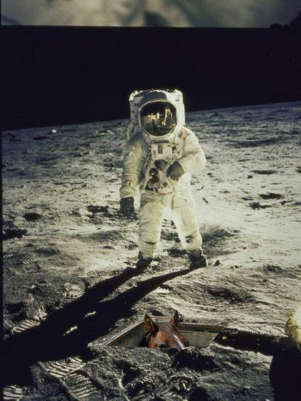 basement-horse-on-the-moon-3572-1233775896-1.jpg