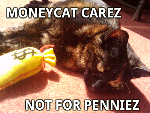 Money_cat.png