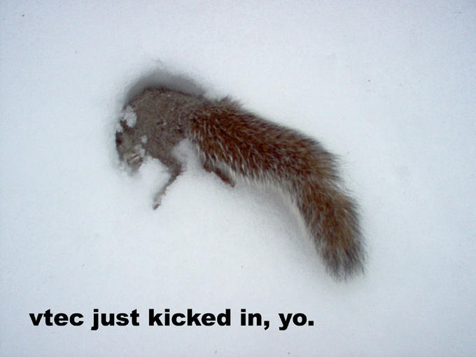 Vtec_just_kicked_in__yo__by_JazzLizard.jpg