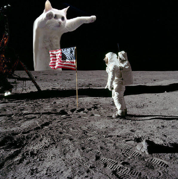 Longcat_Moonlanding.jpg