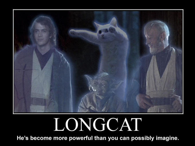 longcat.jpg
