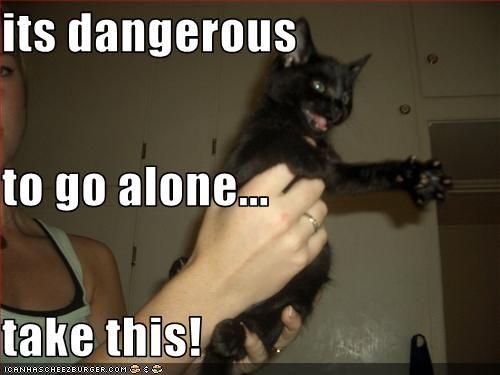 It's Dangerous to Go Alone! Take This