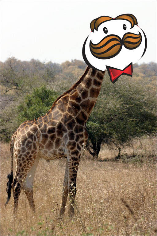 Gordoncopy.jpg