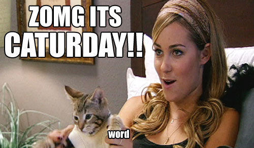 Caturday