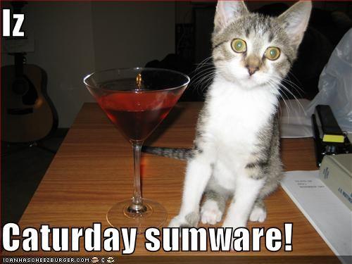 Caturday