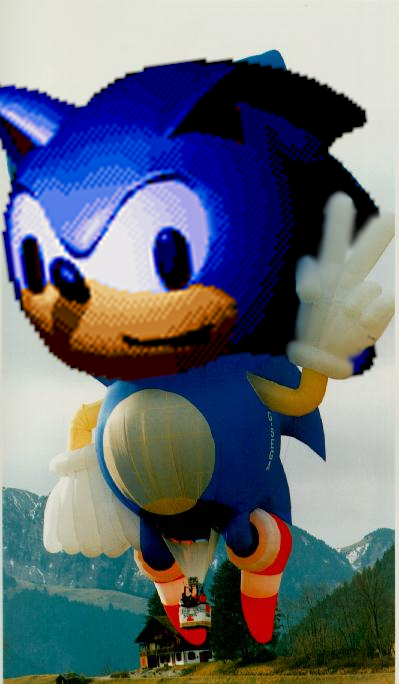 DSS : Down Syndrome Sonic