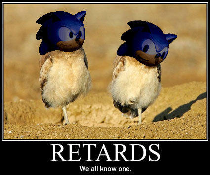 DSS : Down Syndrome Sonic