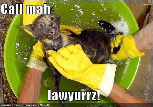 lawyurrz.jpg