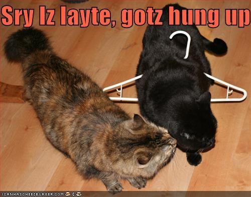 funny-pictures-cat-is-sorry-he-is-late-but-was-hung-up.jpg