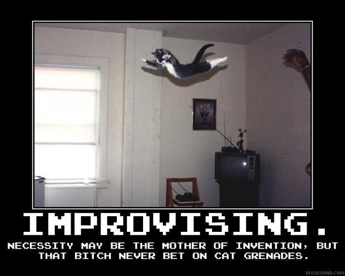 1198942620-1198925607215.jpg