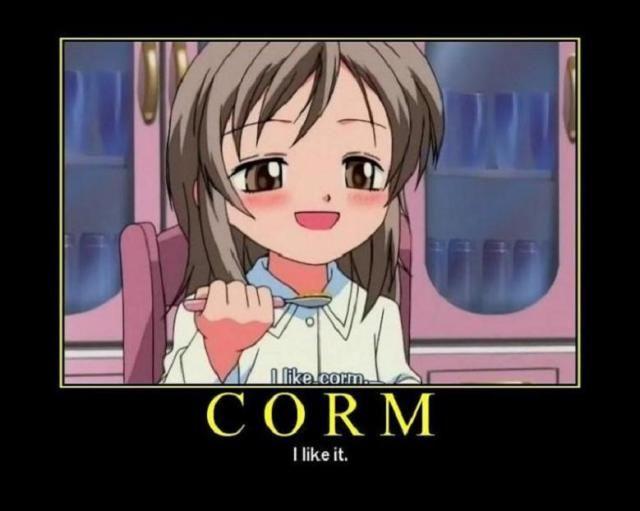 main.php