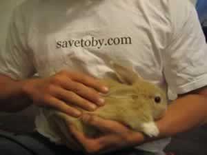 tobyshirt20110724-22047-n3okwk.jpg