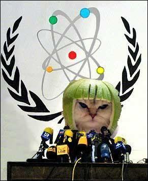 Limecat