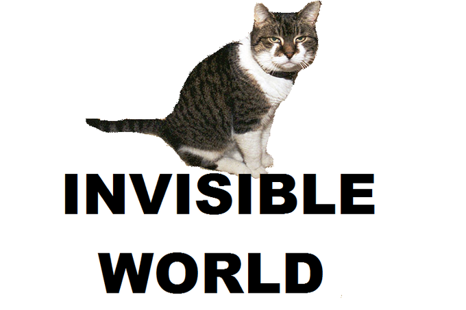 Invisible X