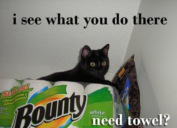 I See What You Did There