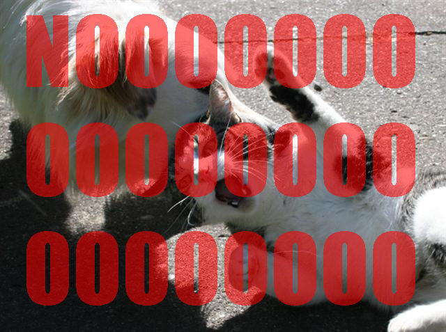 DCHYYGTTRZRSLBBVNNWIV2SLWFMS6JN3.jpg