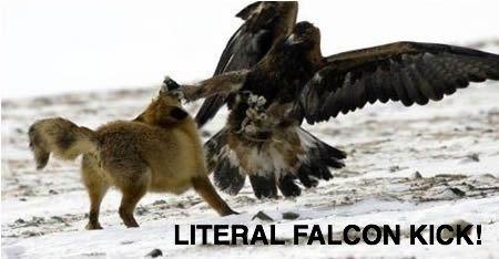 Falcon Punch