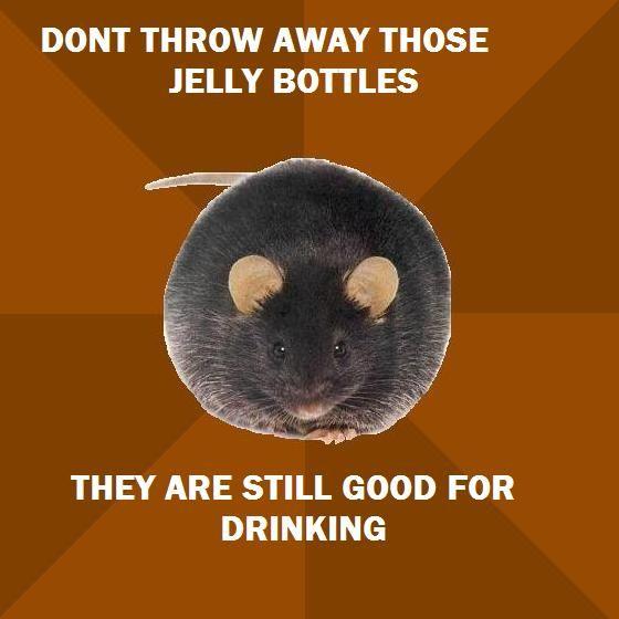 Poverty Rat