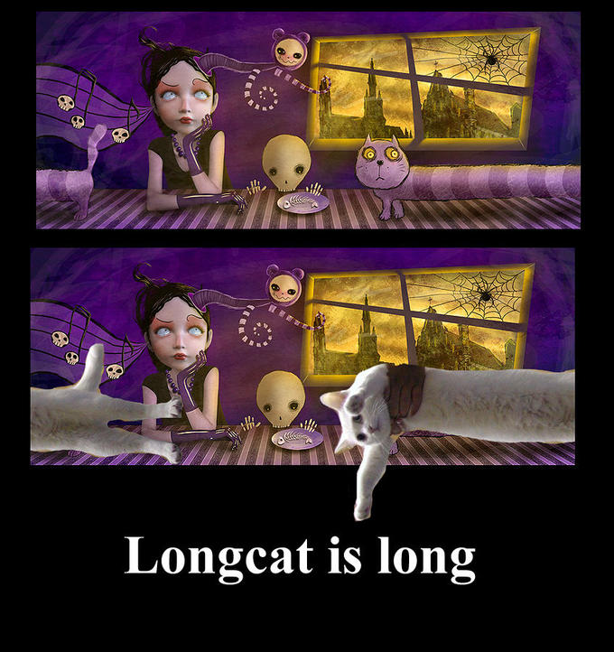 My_longcat_by_BlueBlack.jpg