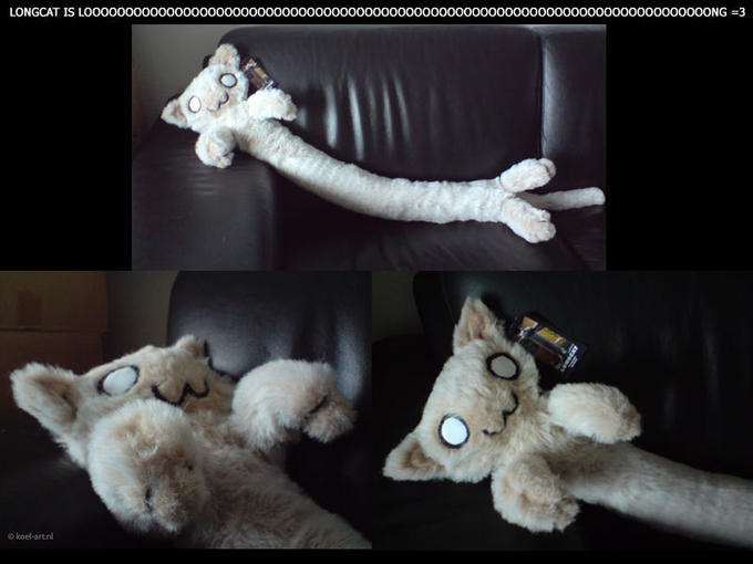 Longcat_plushie_by_koel_art.jpg