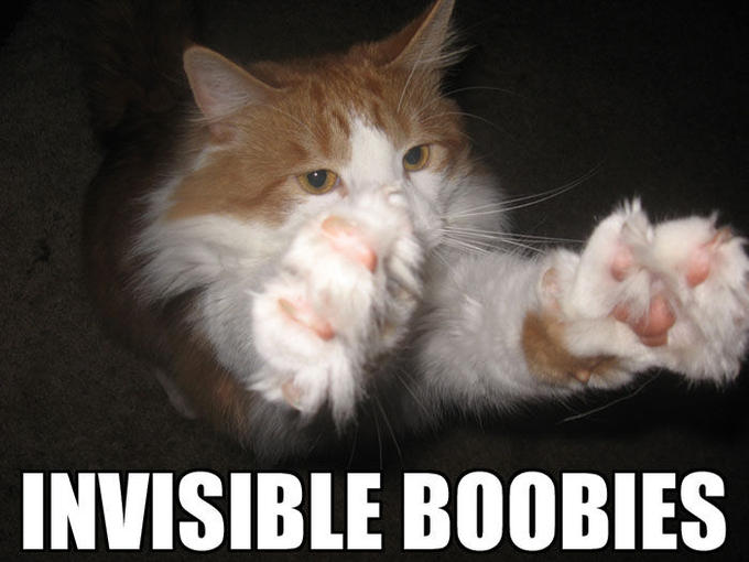 INVISIBLE_BOOBIES_by_Triphazardous.jpg